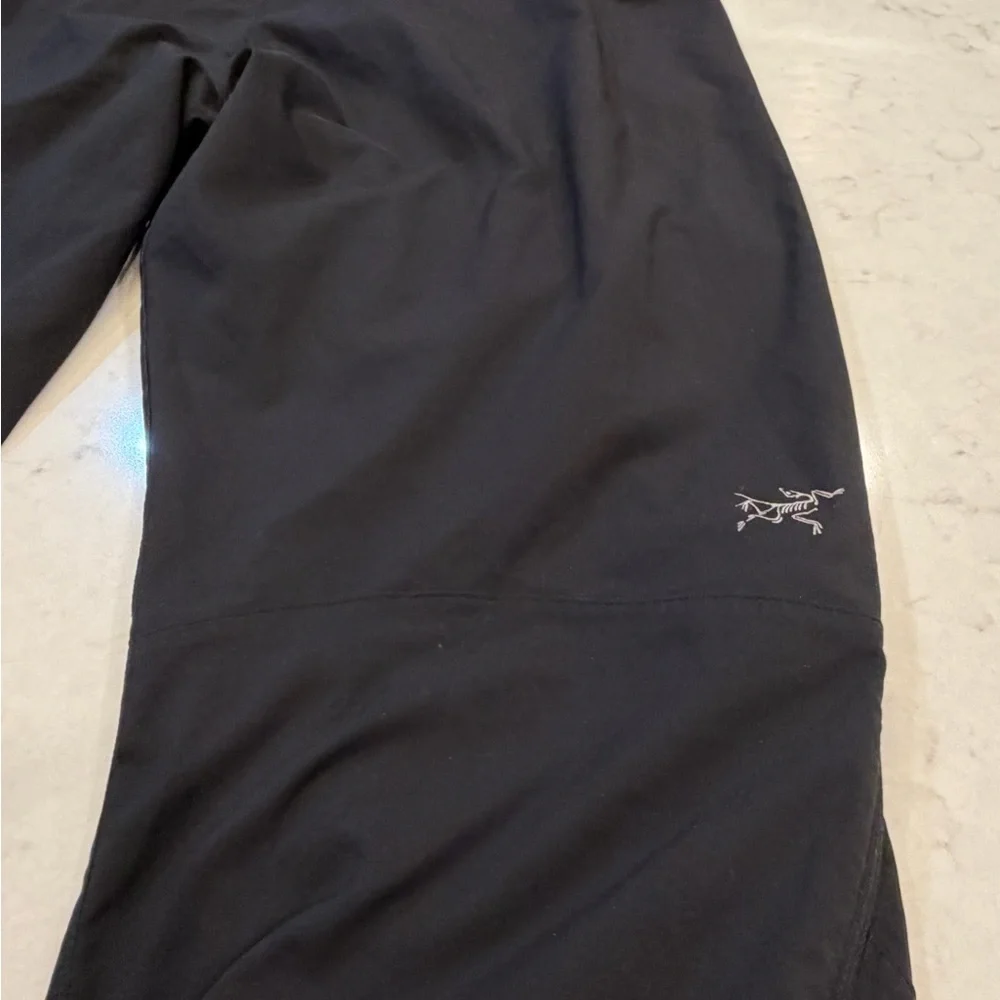 Arc’teryx cargo‎ pants Size Large